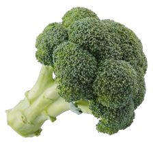Broccoli